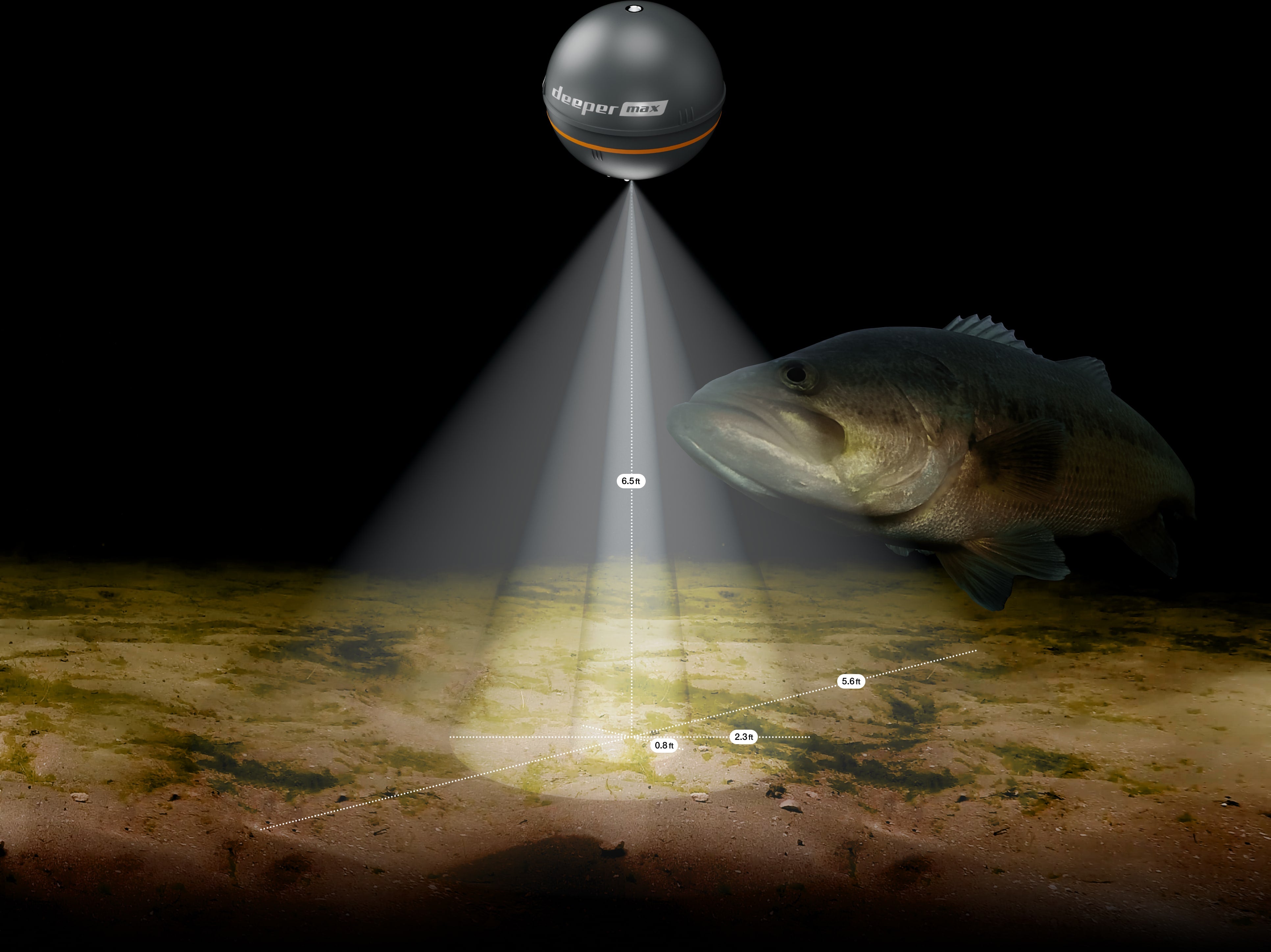 Portable Sonar vs Boat Sonar: Which Path Fits Your Fishing?